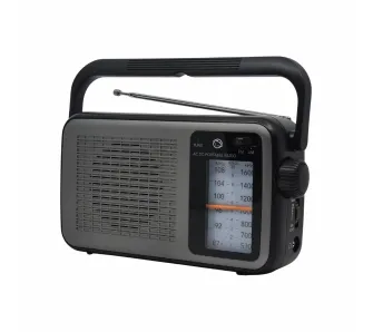 Radioodbiornik Manta MARDI919BK Radio FM Czarno-szary
