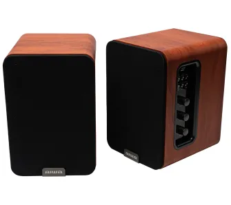 Kolumny Aiwa ASP-A200 Brązowy 2szt.