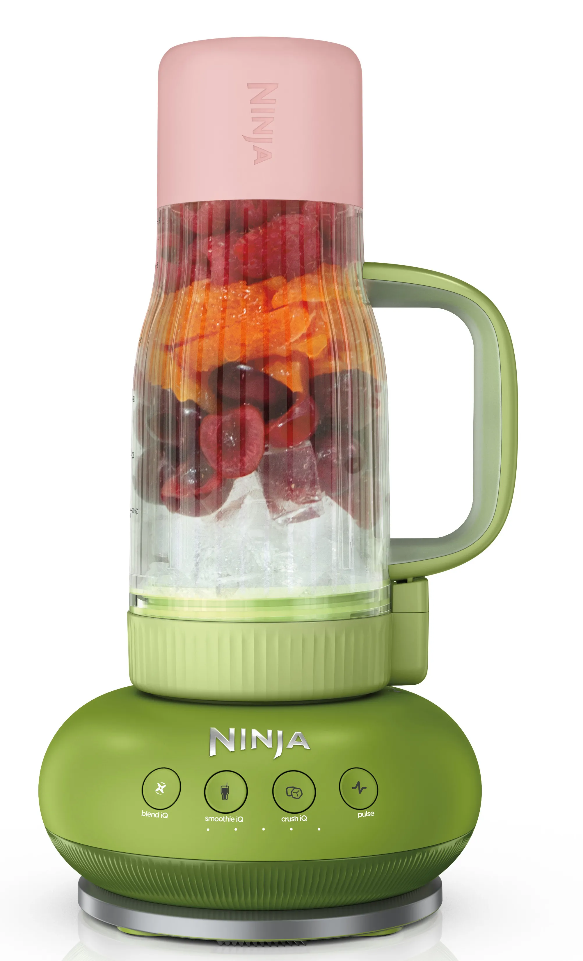 Blender kielichowy Ninja DB351EUGN 0,65l