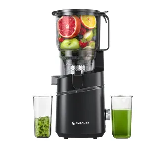 Wyciskarka wolnoobrotowa Amzchef SJ-036CBK 250W 60obr/min