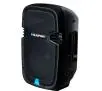 Power Audio Blaupunkt PA10 35W Bluetooth Radio FM Czarny