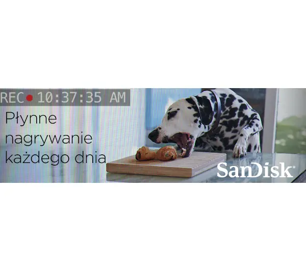 SANDISK High Endurance microSDXC 64GB V30