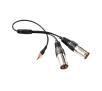 Adapter audio Saramonic Rozgałęźnik audio SR-UM10-CC1 - mini Jack TRS / 2x XLR