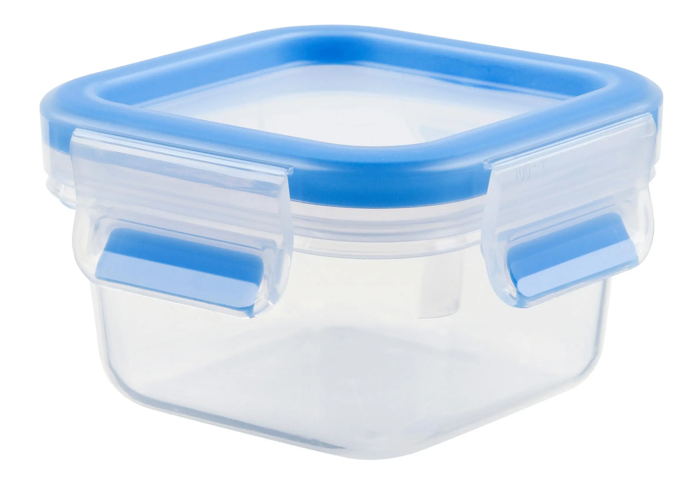 Pojemnik Tefal MasterSeal K3021612 0,25l