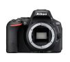 Lustrzanka Nikon D5500 + AF-P 18-55 VR + 55-200 mm VR II (czarny)