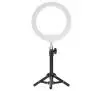 Lampa LED Newell RL-10A Arctic White + statyw