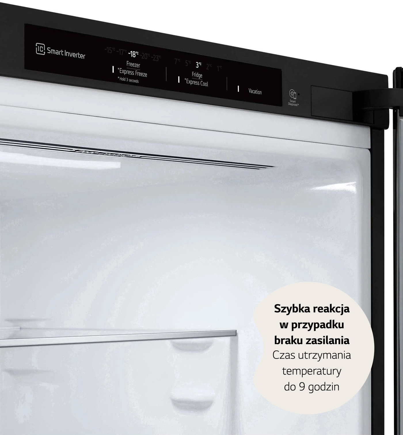 Lodówka LG GBV7280DEV Pełny No Frost 203cm Szuflada z kontrolą wilgotności Ciemny grafit stal