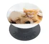 Uchwyt na telefon Popsockets Cat & Dog