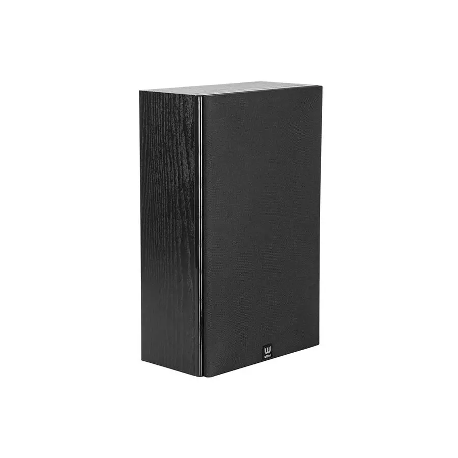 фото Акустическая система Wilson Raptor On Wall Black (2-Pack) 2