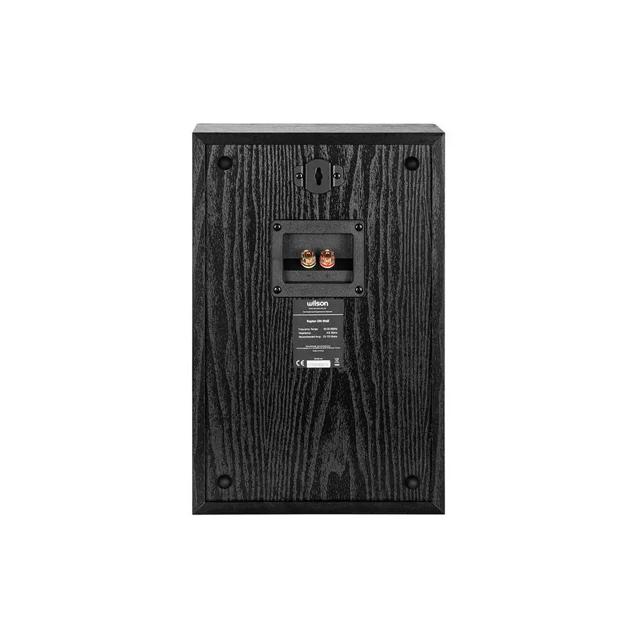 фото Акустическая система Wilson Raptor On Wall Black (2-Pack) 3