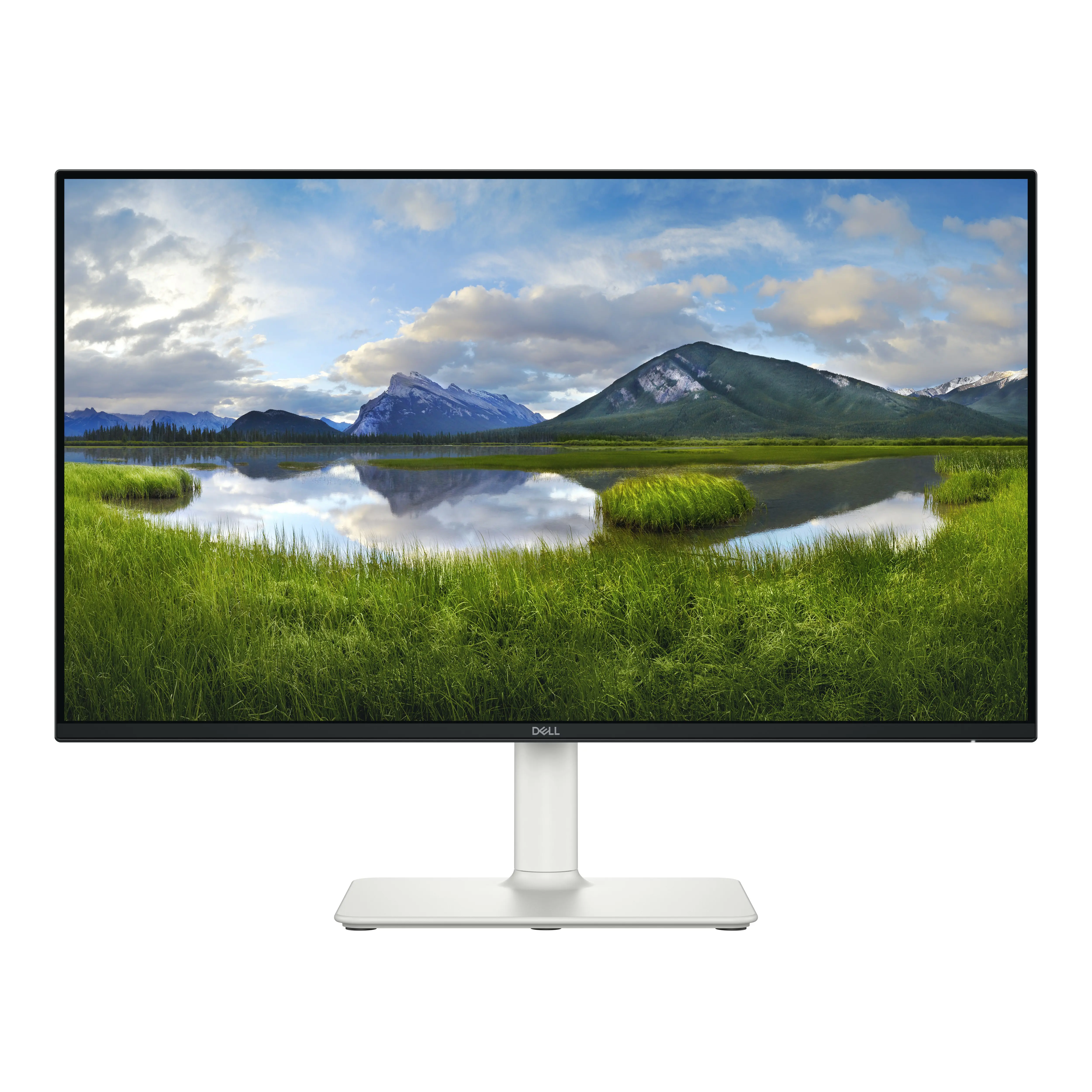 Monitor Dell S2425HS 23,8" Full HD IPS 100Hz 4ms