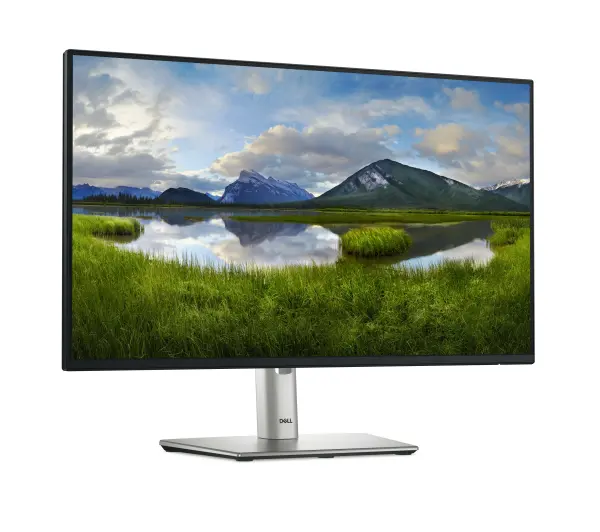 Dell P2425HE 23,8" Full HD IPS 100Hz 5ms - Kup na Raty - RRSO 0%