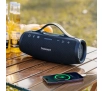 Głośnik Bluetooth Tronsmart Mirtune S100 50W Czarny
