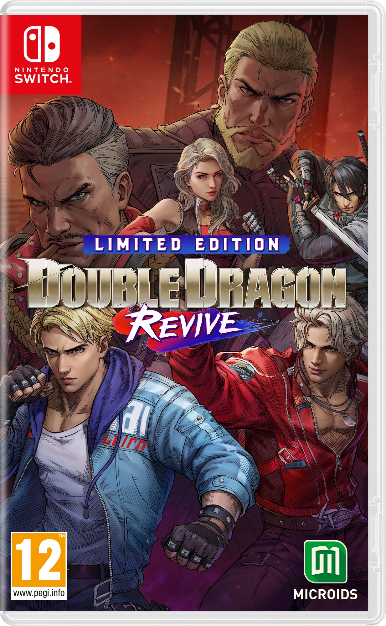 Double Dragon Revive Edycja Limitowana Gra na Nintendo Switch