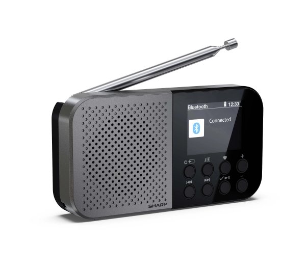 Sharp Osaka DR-P520(GY) Radio FM DAB+ Bluetooth Szary