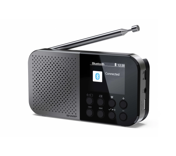 Sharp Osaka DR-P520(GY) Radio FM DAB+ Bluetooth Szary
