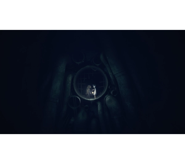 Reanimal Gra na PS5 - przedsprzedaż