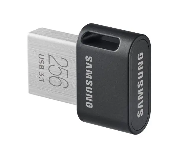 Samsung FIT Plus 2020 256GB USB 3.1  Szary