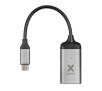 Adapter Xtorm XC201
