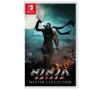 Ninja Gaiden Master Collection - Gra na Nintendo Switch