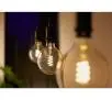 Żarówka LED Philips Hue White Ambiance Filament Globe G125 E27 1 szt.