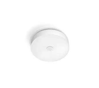 Lampa sufitowa Philips Hue White Ambiance Fair 929003054601 Biały