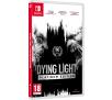 Dying Light Edycja Platinium Gra na Nintendo Switch