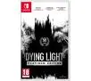 Dying Light Edycja Platinium Gra na Nintendo Switch