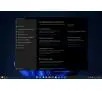 Program Microsoft Windows 11 Pro OEM DVD ENG