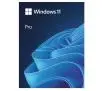 Program Microsoft Windows 11 Pro OEM DVD ENG