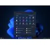 Program Microsoft Windows 11 Pro OEM DVD ENG