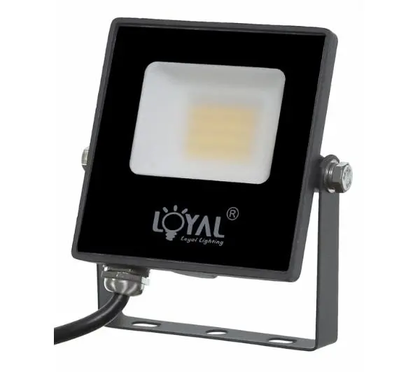 Фото - Люстра / світильник Loyal Lighting LY-FLE10 1400lm