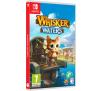 Whisker Waters Gra na Nintendo Switch