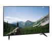 Telewizor Panasonic TX-43MSW504  43" LED Full HD Google TV DVB-T2