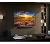 Telewizor Samsung QE65Q68DAU 65" QLED 4K Tizen DVB-T2
