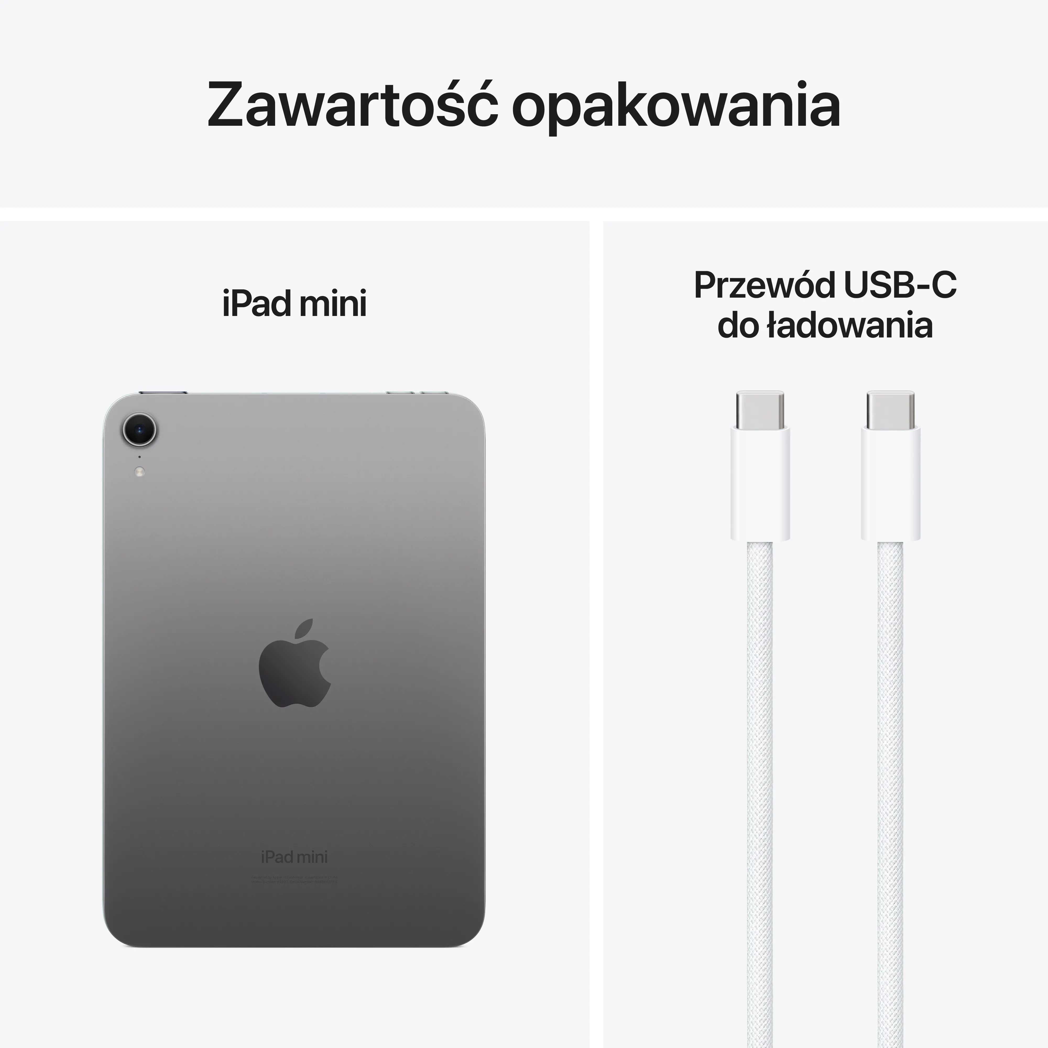 Apple iPad mini 7 gen 8 3 128GB Wi Fi Gwiezdna szaro Opinie Cena RTV EURO AGD