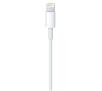 Kabel Apple Lightning na USB 2m MD819ZM/A Biały