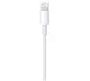 Kabel Apple Lightning na USB 2m MD819ZM/A Biały