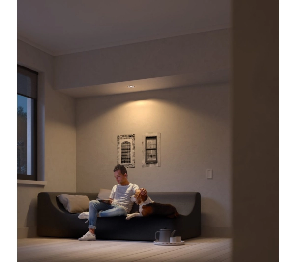 Philips Hue White Ambiance Milliskin 1szt. Biały
