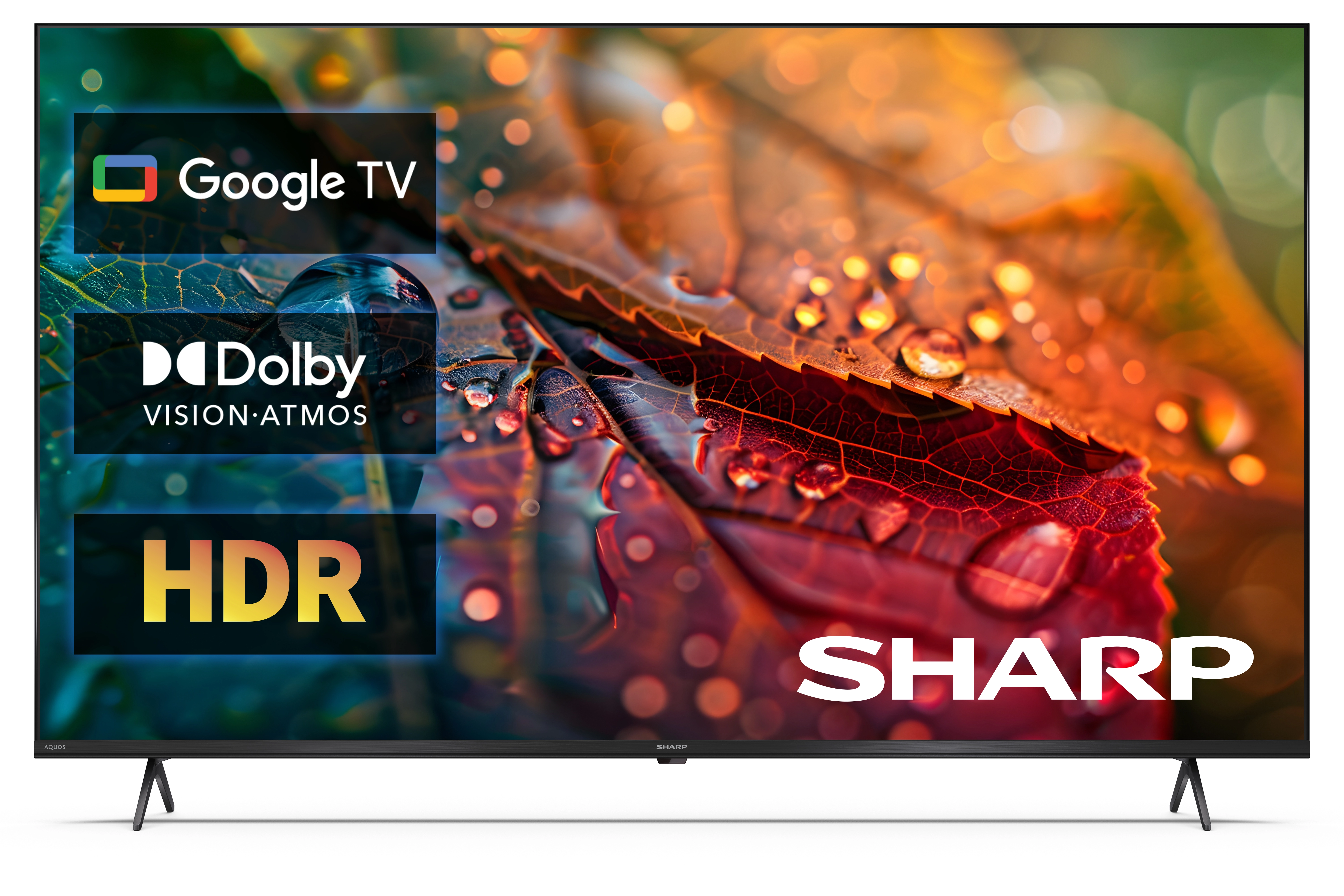 Telewizor Sharp 55HL4765E 55" LED 4K GoogleTV Dolby Vision Dolby Atmos HDMI 2.1 DVB-T2