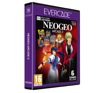 Gra Evercade NEOGEO Arcade 2