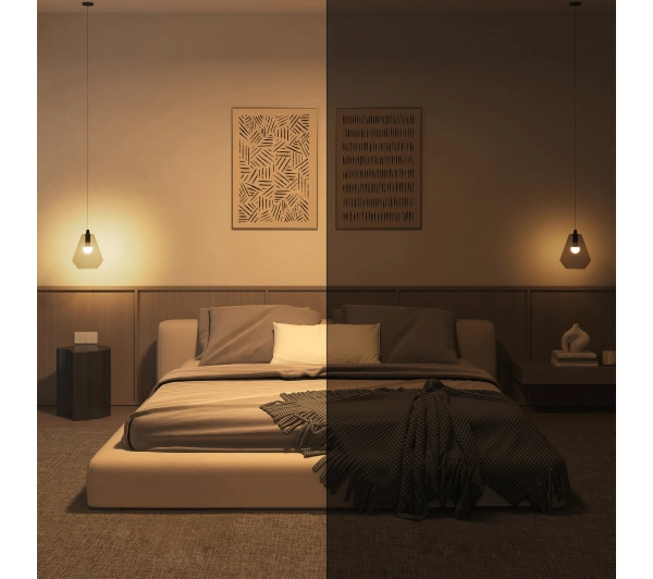 Philips Hue Essential White and Colour Ambiance 806 A60 E27