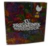 Odtwarzacz Creative Zen 2GB Woodstock Edition