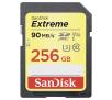 SanDisk Extreme SDXC Class 10 UHS-I/UHS-3 256GB