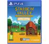 Stardew Valley Collector's Edition PS4 / PS5
