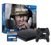 Konsola Sony PlayStation 4 Slim 1TB + Call of Duty: WWII + To Jesteś Ty! + 2 pady