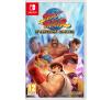 Street Fighter 30th Anniversary Collection  Nintendo Switch