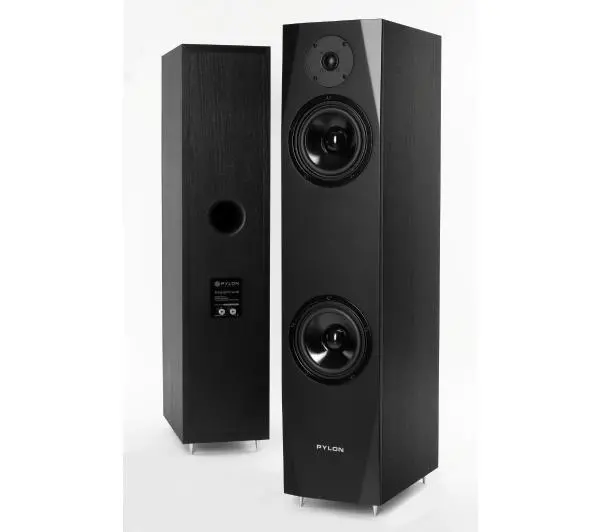Pylon Audio Sapphire 25 Czarny 2szt. - Kup na Raty - RRSO 0%