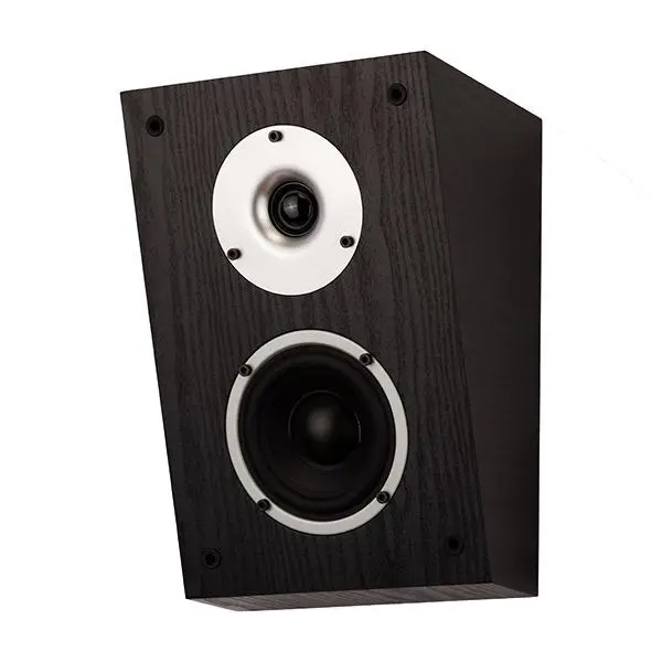 Kolumny efektowe Dolby Atmos Wilson Raptor X Czarny 2szt.