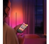 Taśma LED Philips Hue White and Colour Ambiance Play przedłużacz 1m